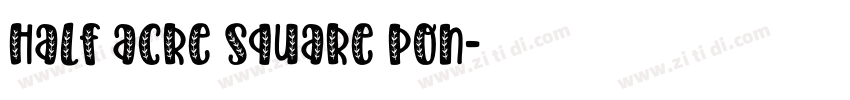half acre square pon字体转换